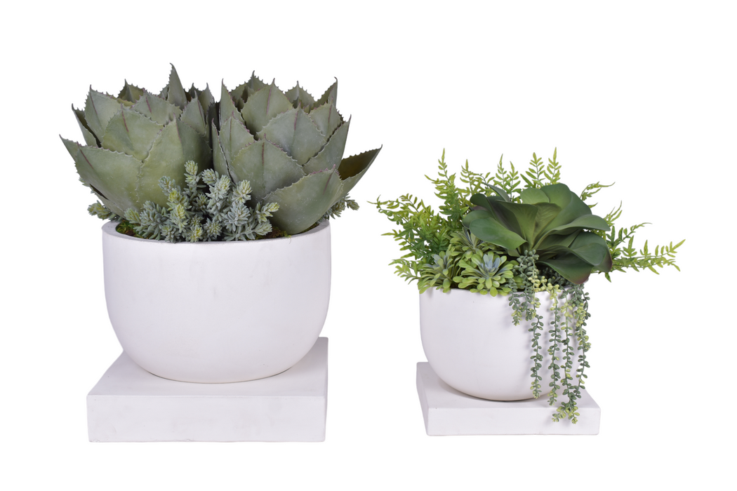 Palmaria Pot with Sqaure Base Collection - White   CN1253
