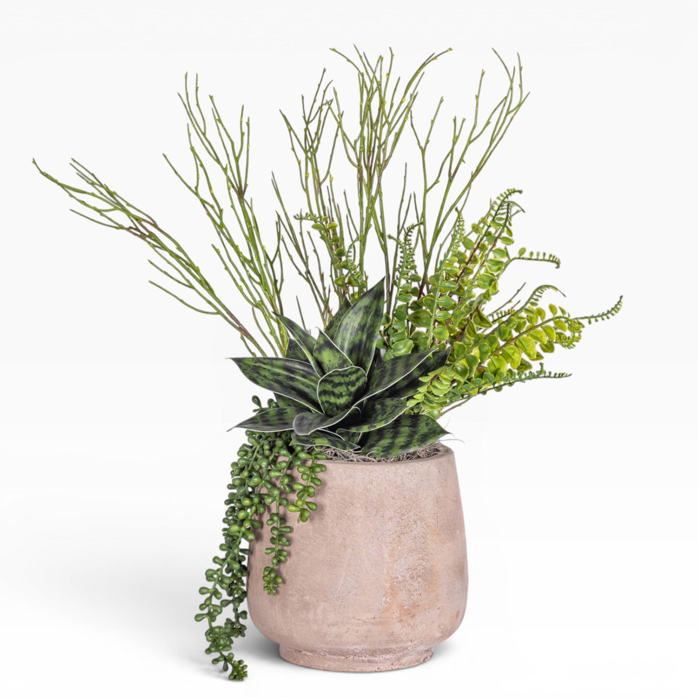 7" Dante Pot with Succulent Arrangement