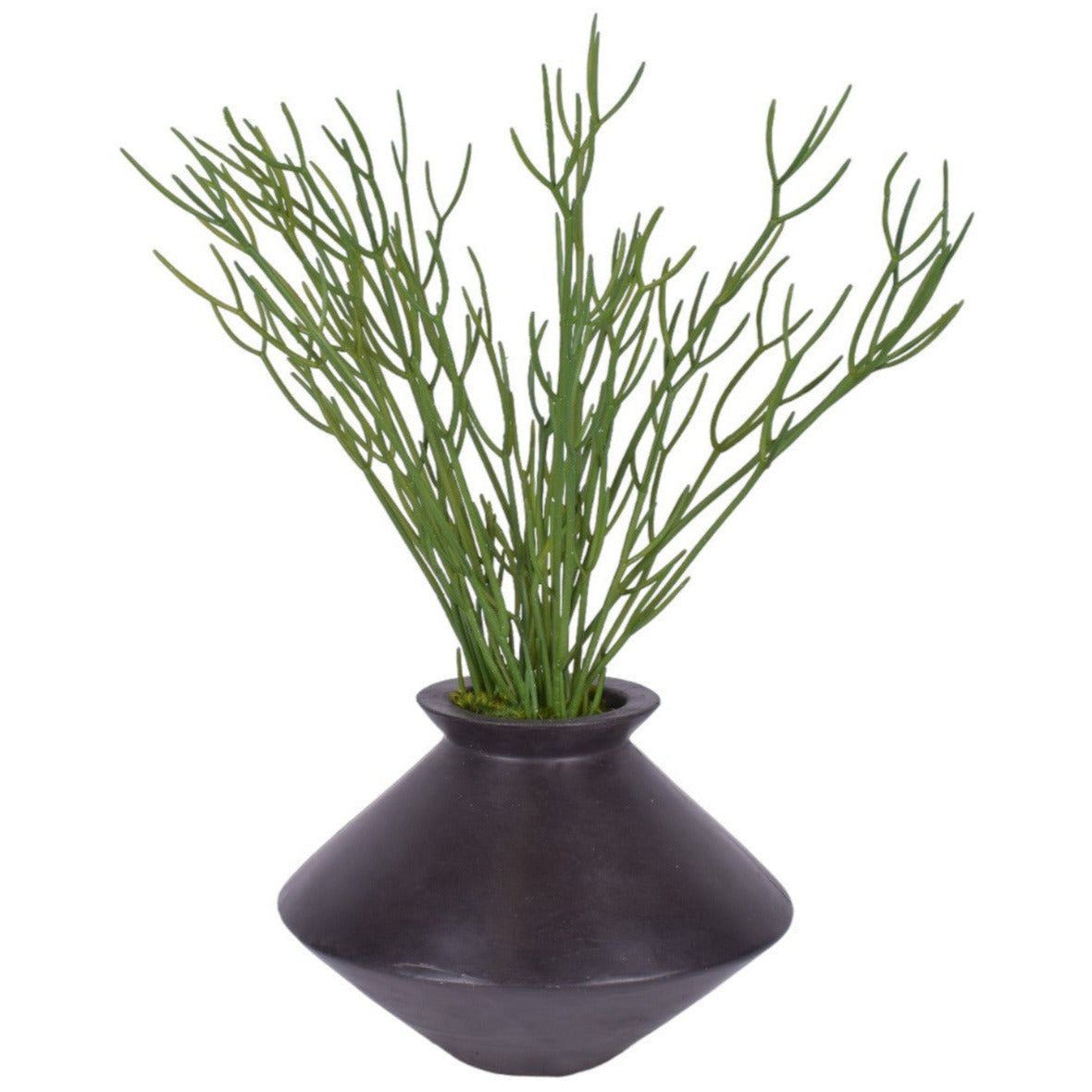 Black Stanley Vase with Pencil Cactus   AR1797