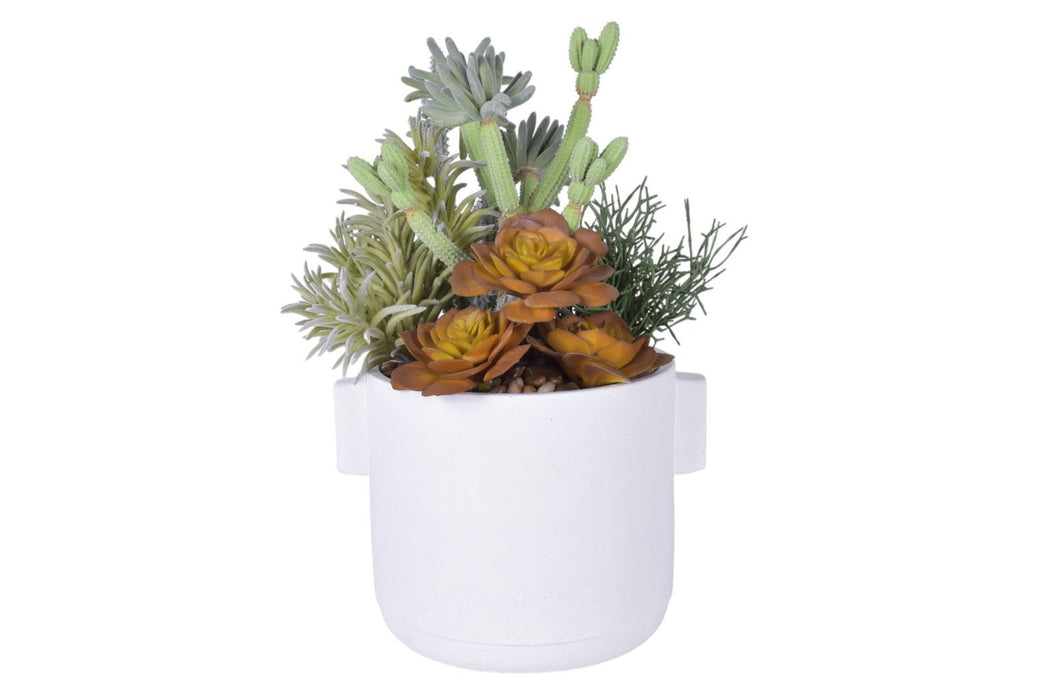 7" Watson Pot with Cactus Arrangement   AR1798