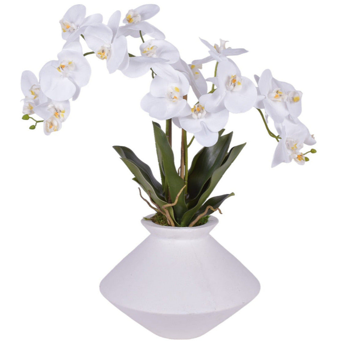White Stanley Vase with Orchid Arrangement   AR1799