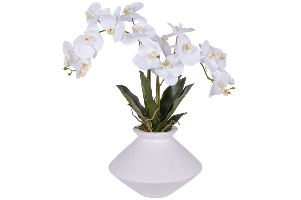 White Stanley Vase with Orchid Arrangement   AR1799