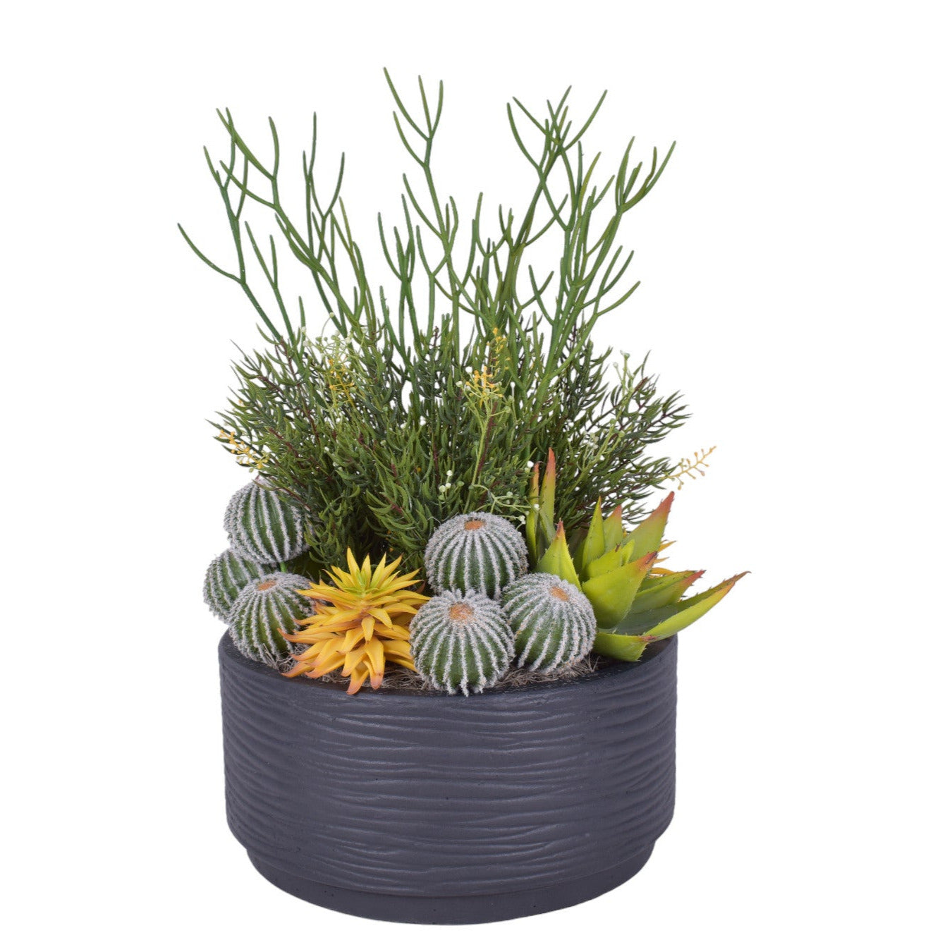 16" Sydney Bowl with Succulent and Cactus Arrangement   AR1801