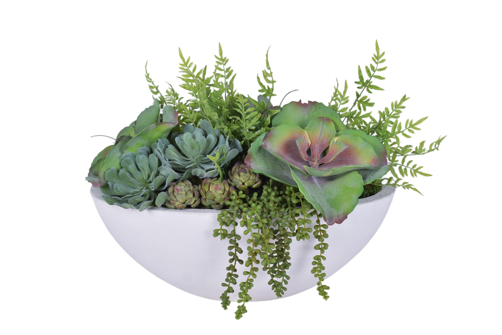 Large White Oval Bowl with UV Protected Succulent Arrangement  AR1802UV