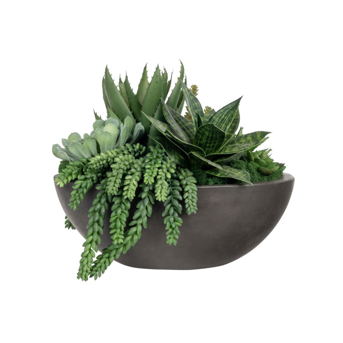 Small Oval Bowl with Succulent Arrangement   AR1813