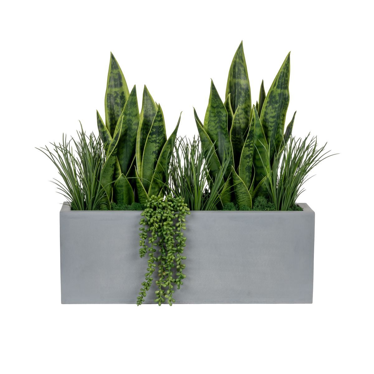 24" Grey Manhattan Planter with Sanseveria Arrangement   AR1817