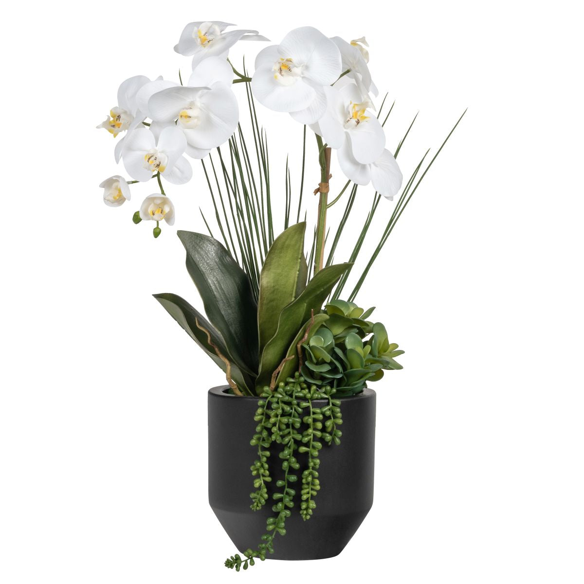 8" Black Milo Planter with Orchid Arrangement   AR1819