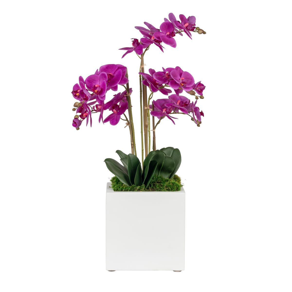 White Balboa Square with Orchid Arrangement   AR1831