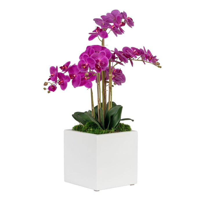 White Balboa Square with Orchid Arrangement   AR1831