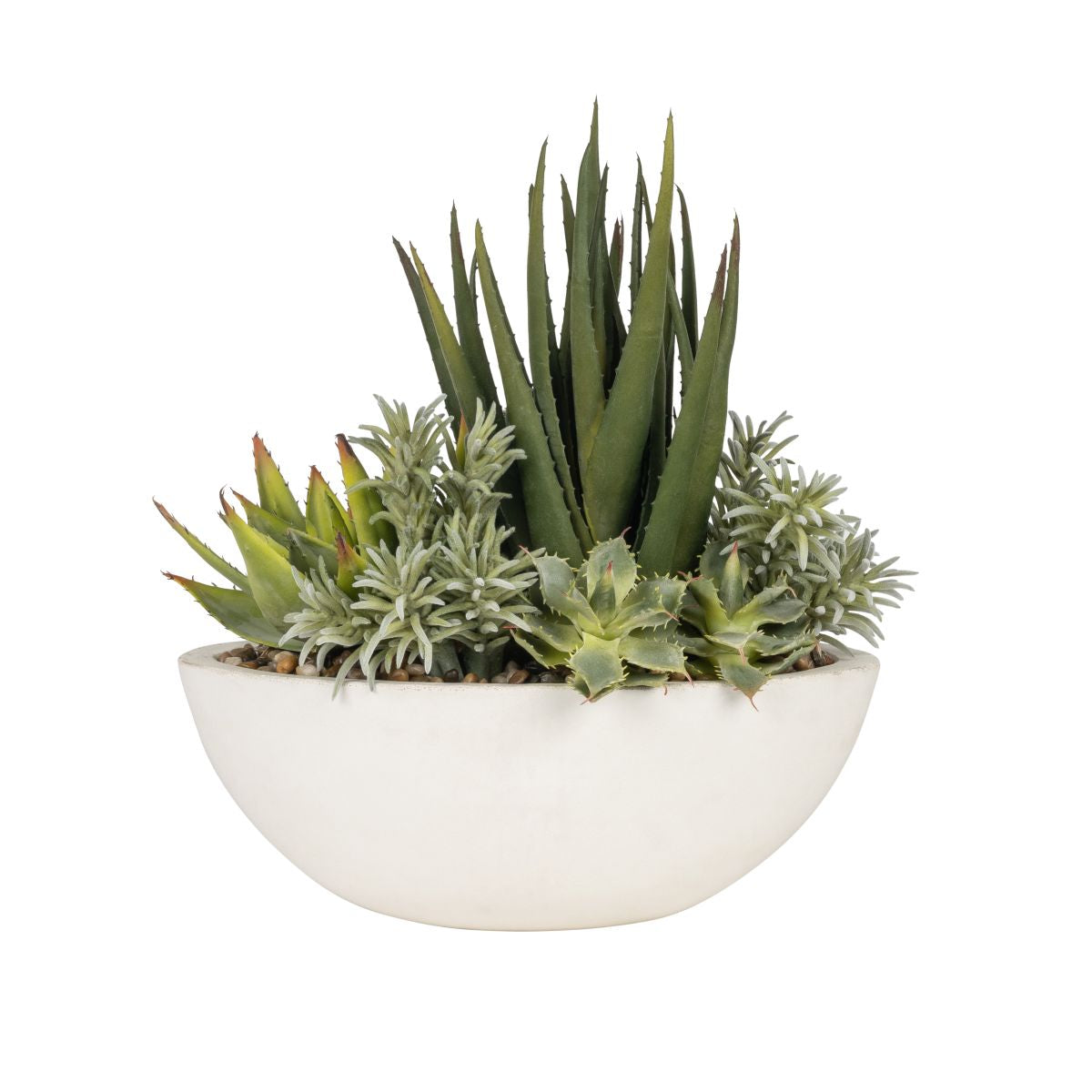 Small Oval Bowl with Aloe and Cactus Arrangement   AR1833