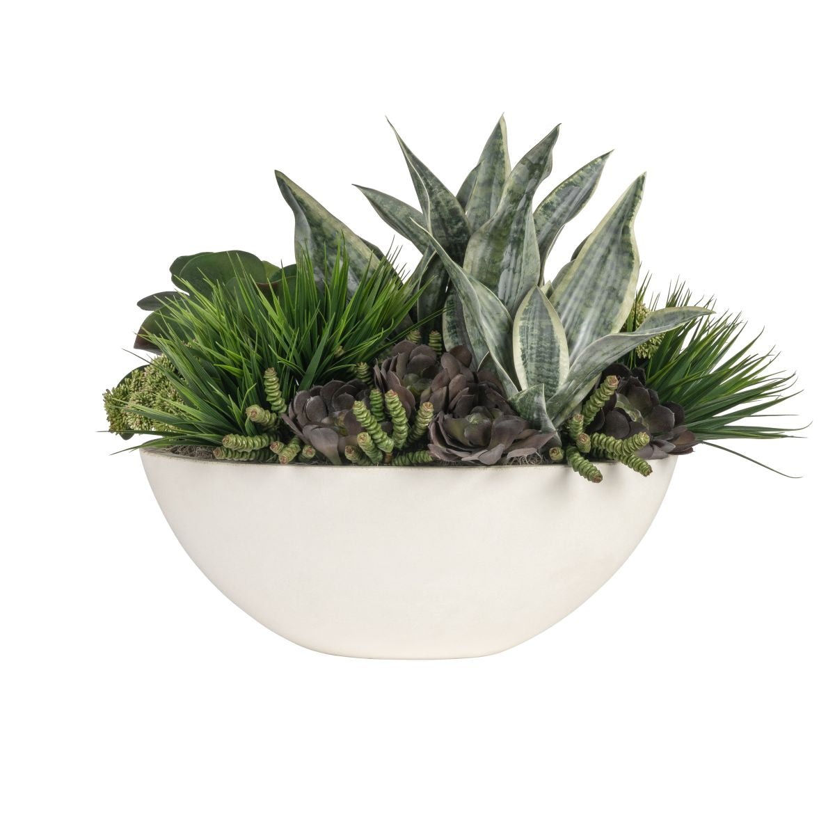 Large Oval Bowl with Sanseveria and Succulent Arrangement   AR1835