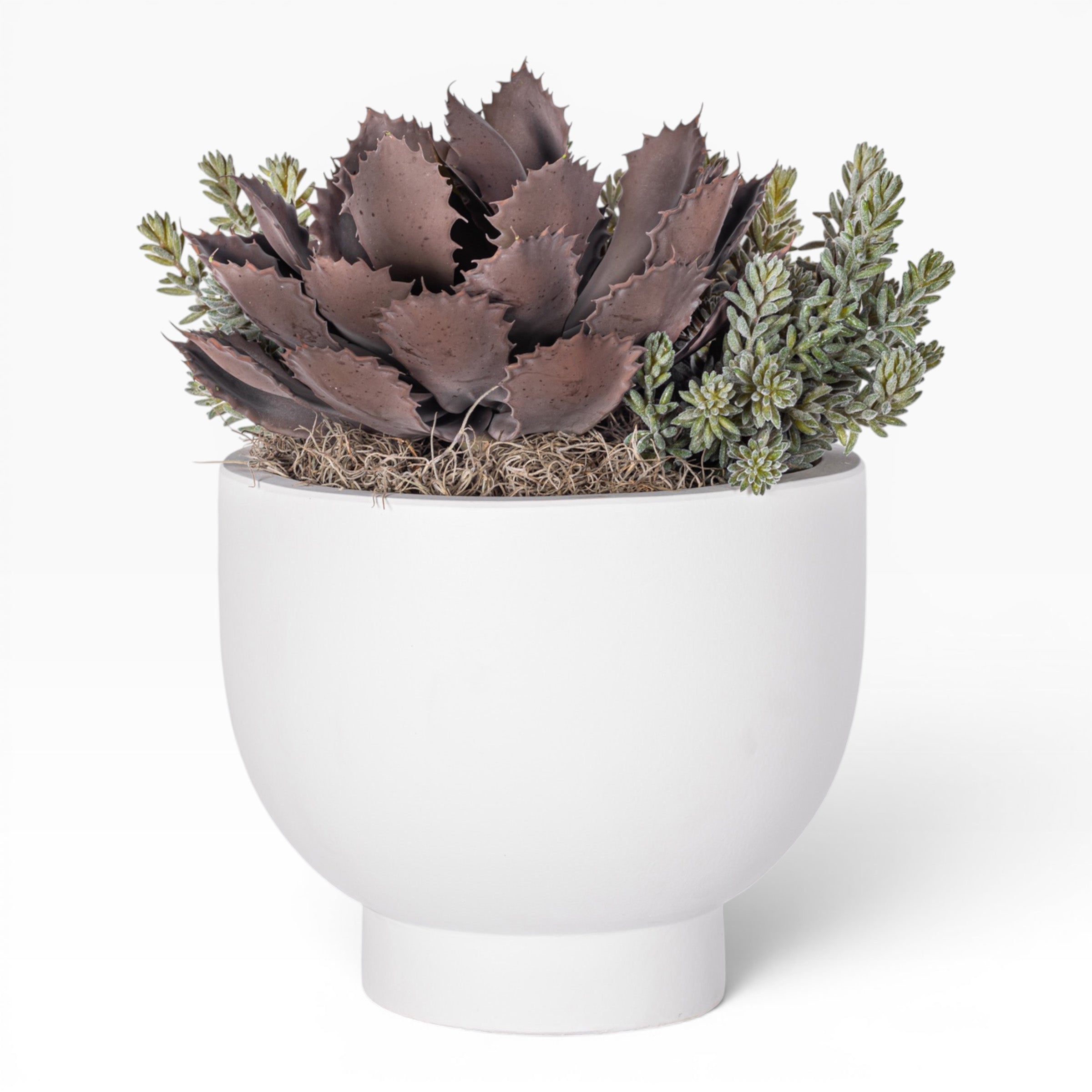 12" White Mack Compote with Succulent Arrangement   AR1836