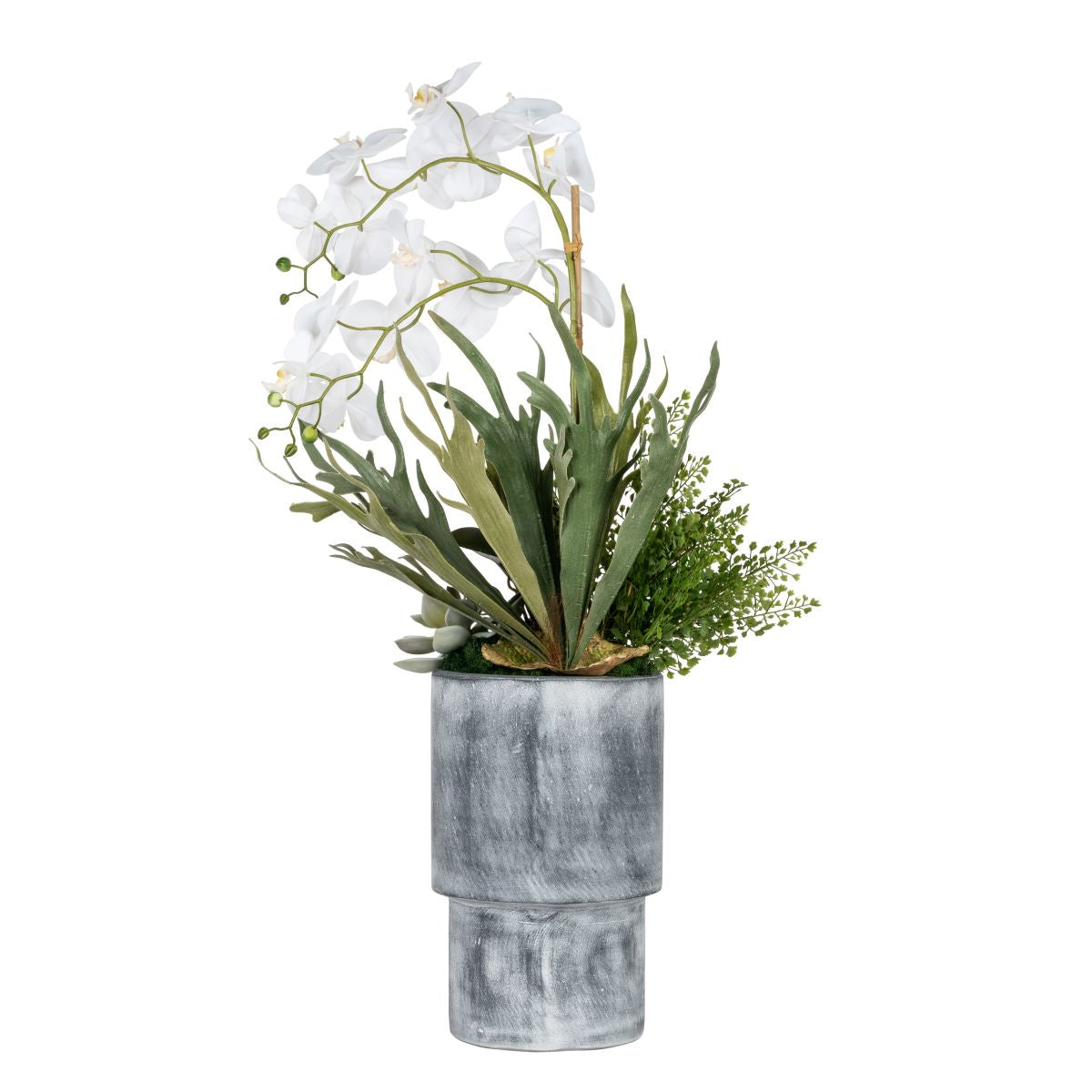 16" Grey Lucca Planter with Orchid Arrangement   AR1837