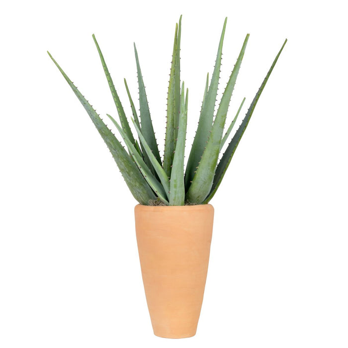 16" Malibu Planter with Aloes   AR1843