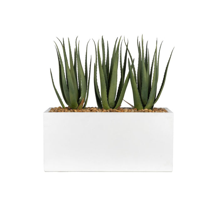 31" White Chelsea Planter with Aloes   AR1845