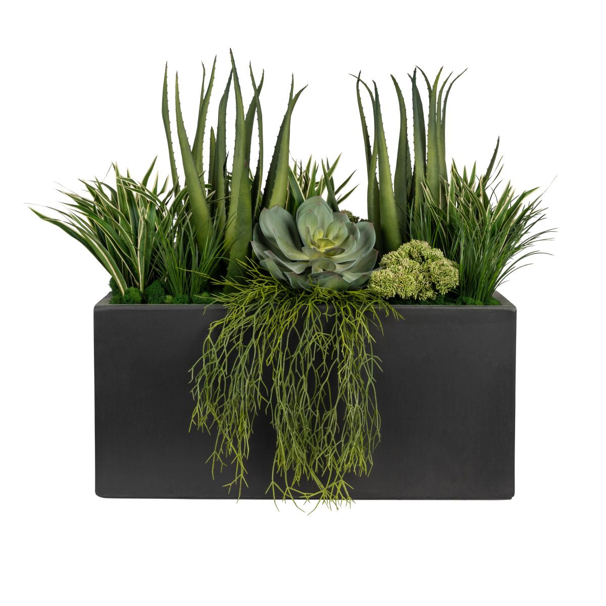 31" Black Chelsea Planter with Succulent Arrangement   AR1847