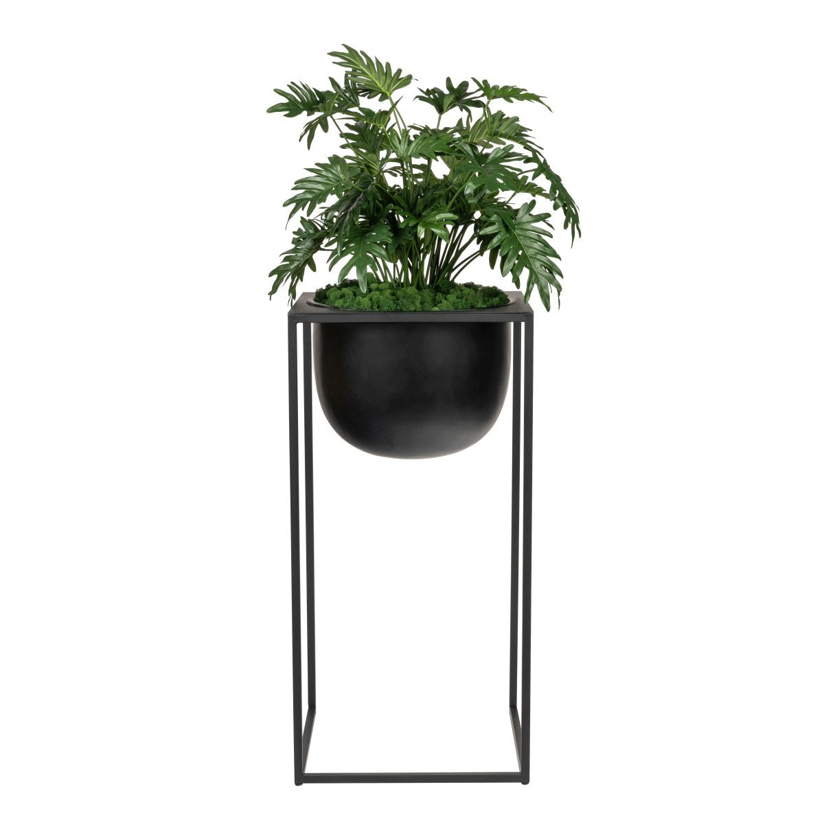 44" Black Well Planter with Philodendron   AR1860