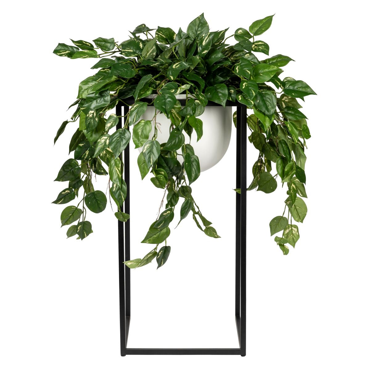 36" White Well Planter with Pothos   AR1865