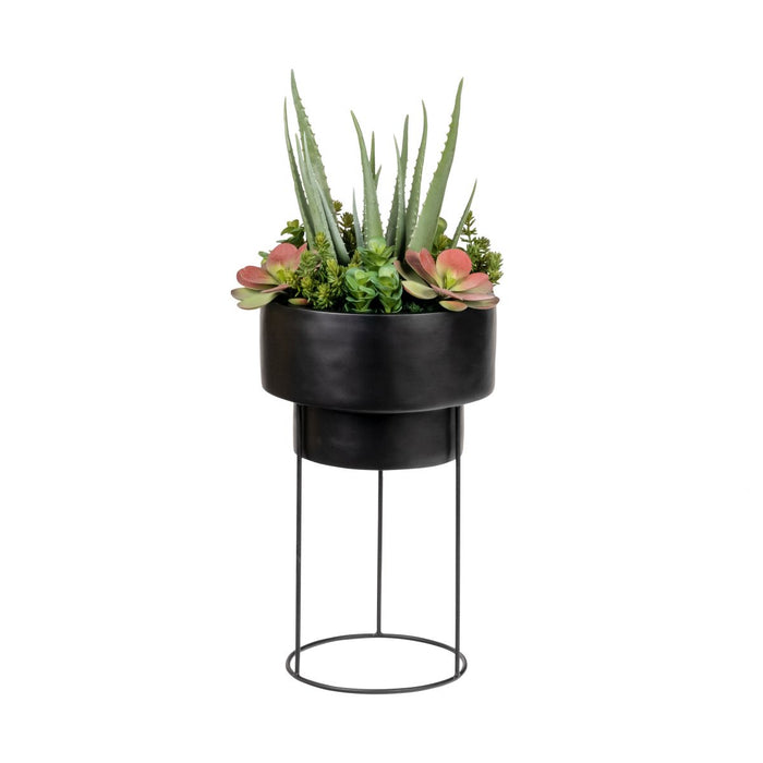 Soho Planter with Aloe Succulents   AR1868