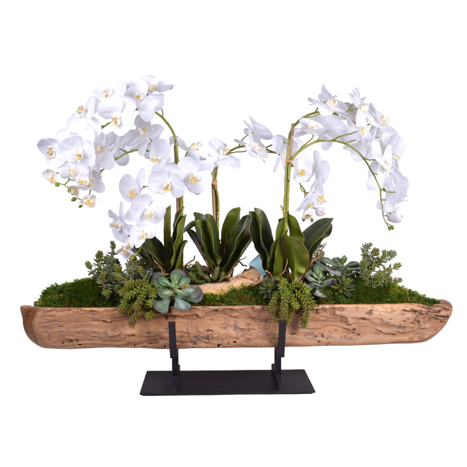 Tanduk Planter with Orchid Arrangement   AR1869