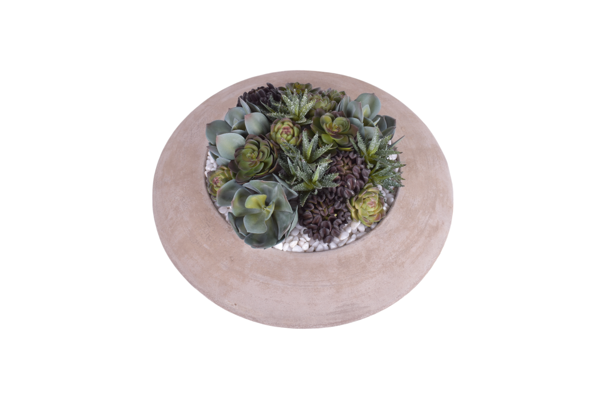 Large Flying Saucer Bowl with UV Protected Succulent Arrangement   AR1874