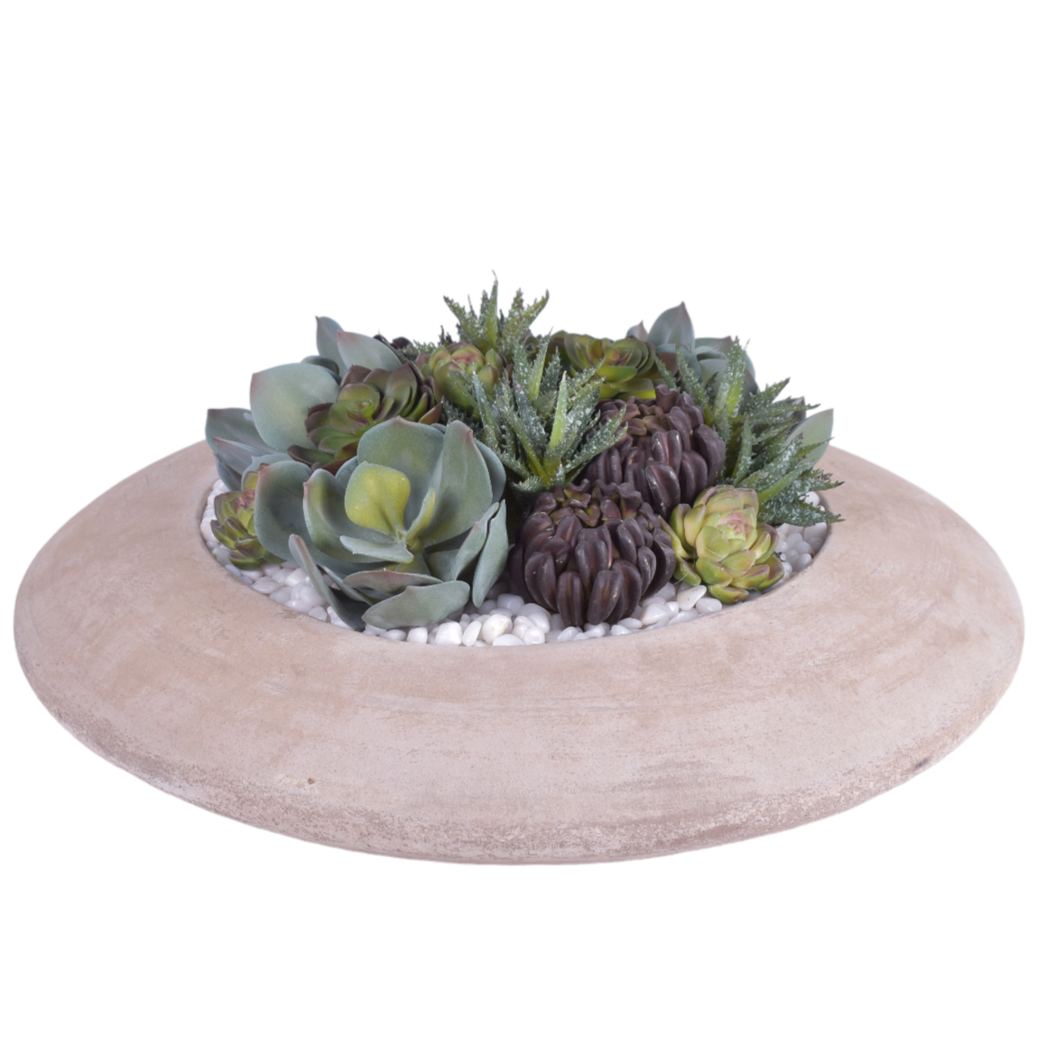 Large Flying Saucer Bowl with UV Protected Succulent Arrangement   AR1874