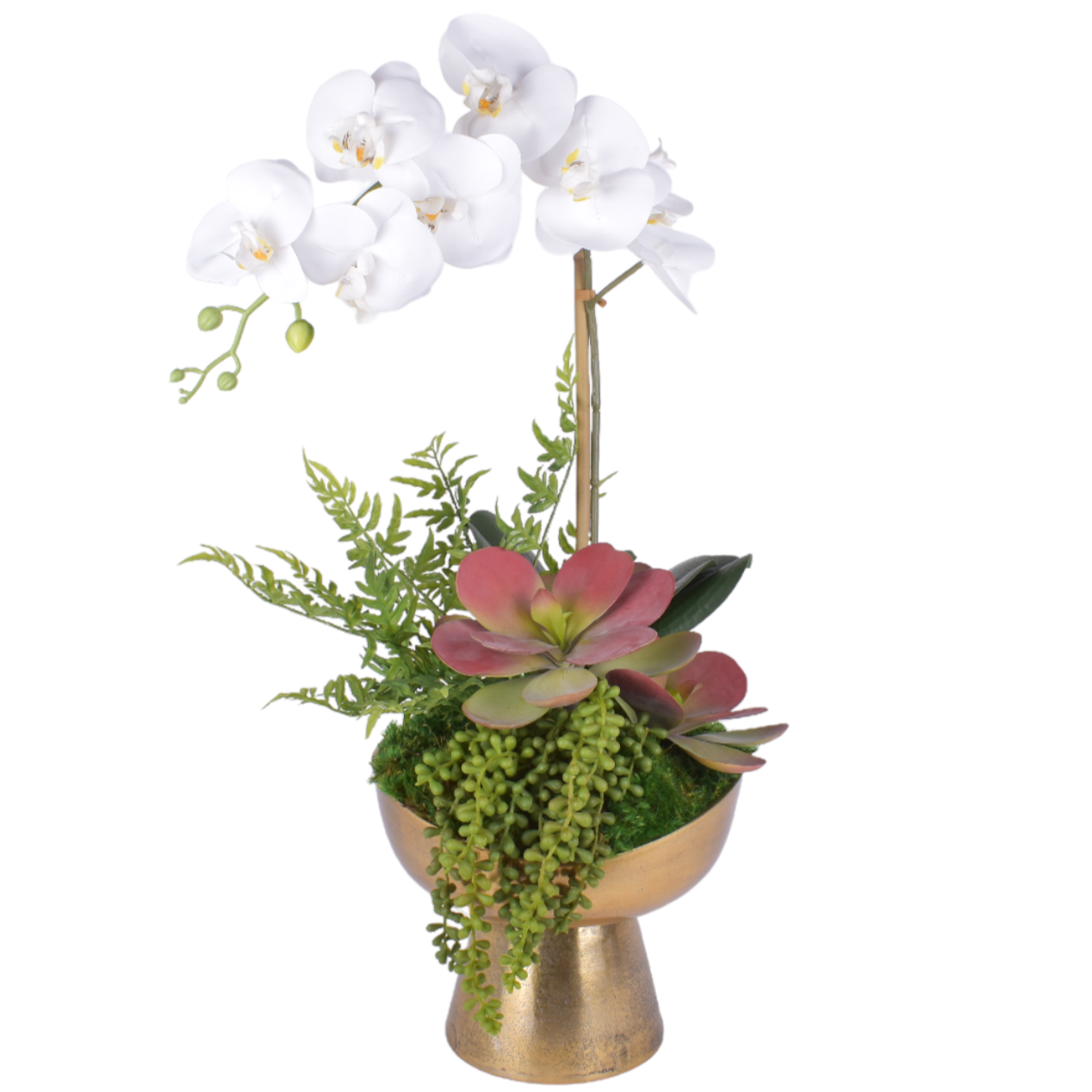 Gold Sophia Pot with Orchid Arrangement   AR1877