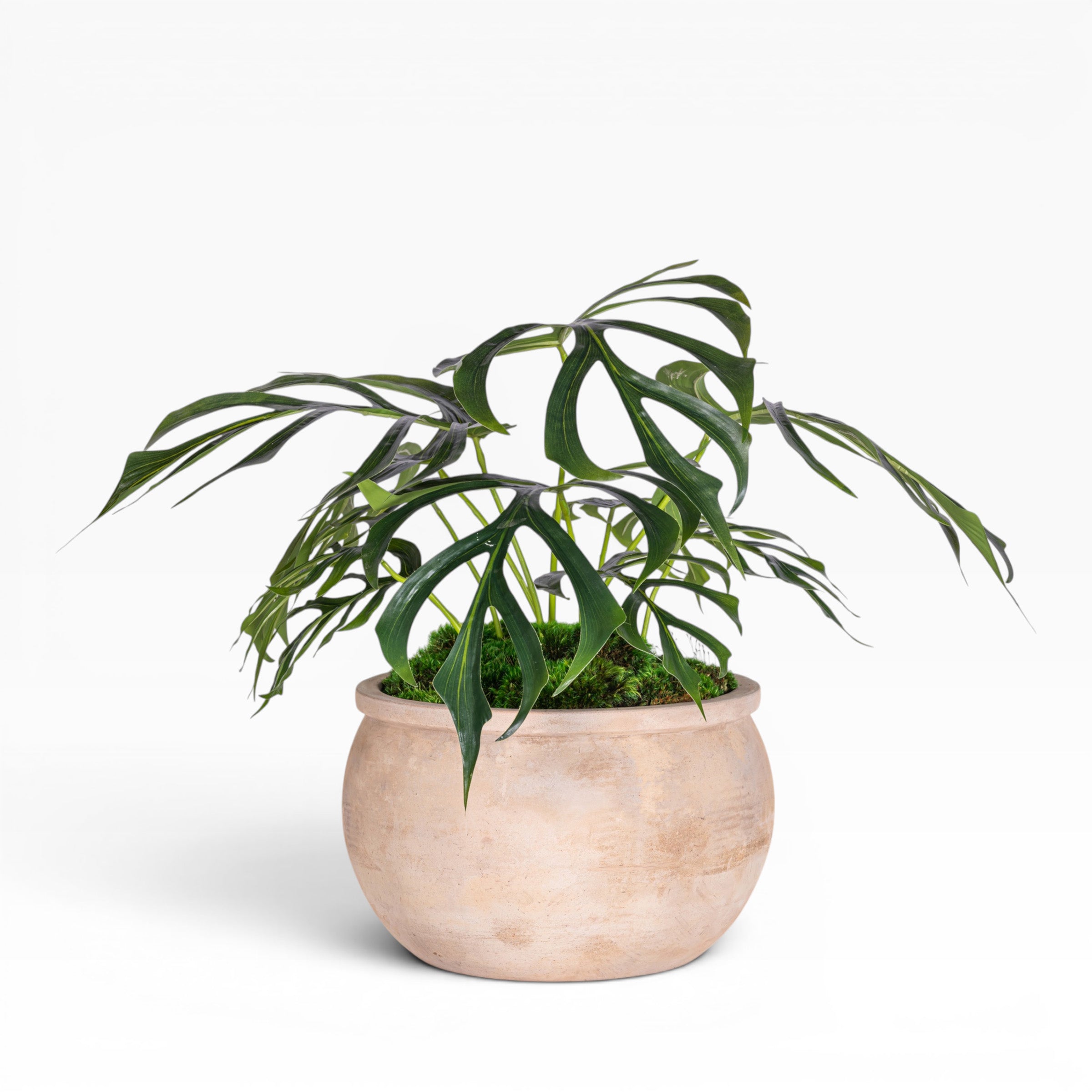 15" Jeune Bowl with Palm Arrangement AR1886