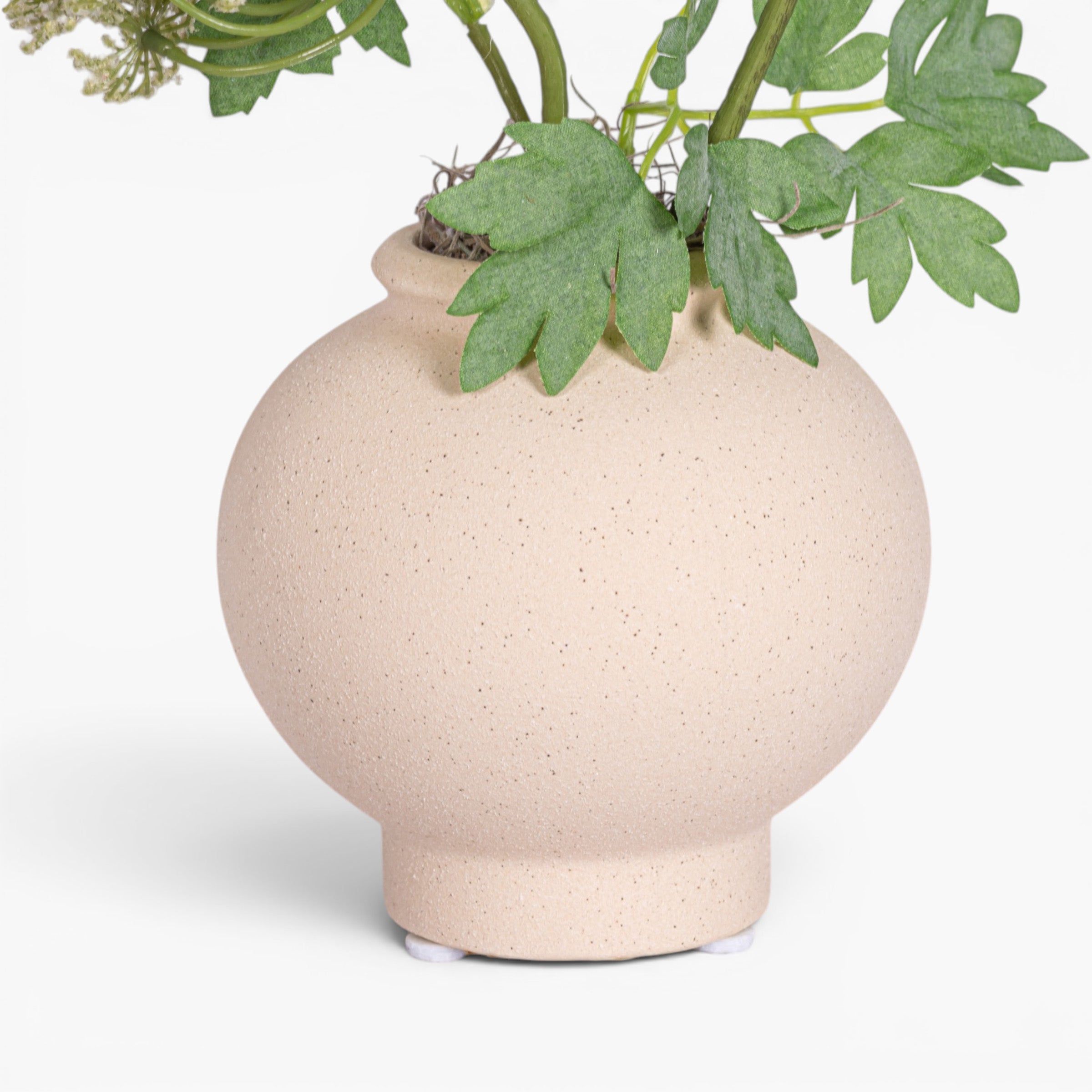 4.25" Stuart Bud Vase with Queen Anne's Lace AR1904