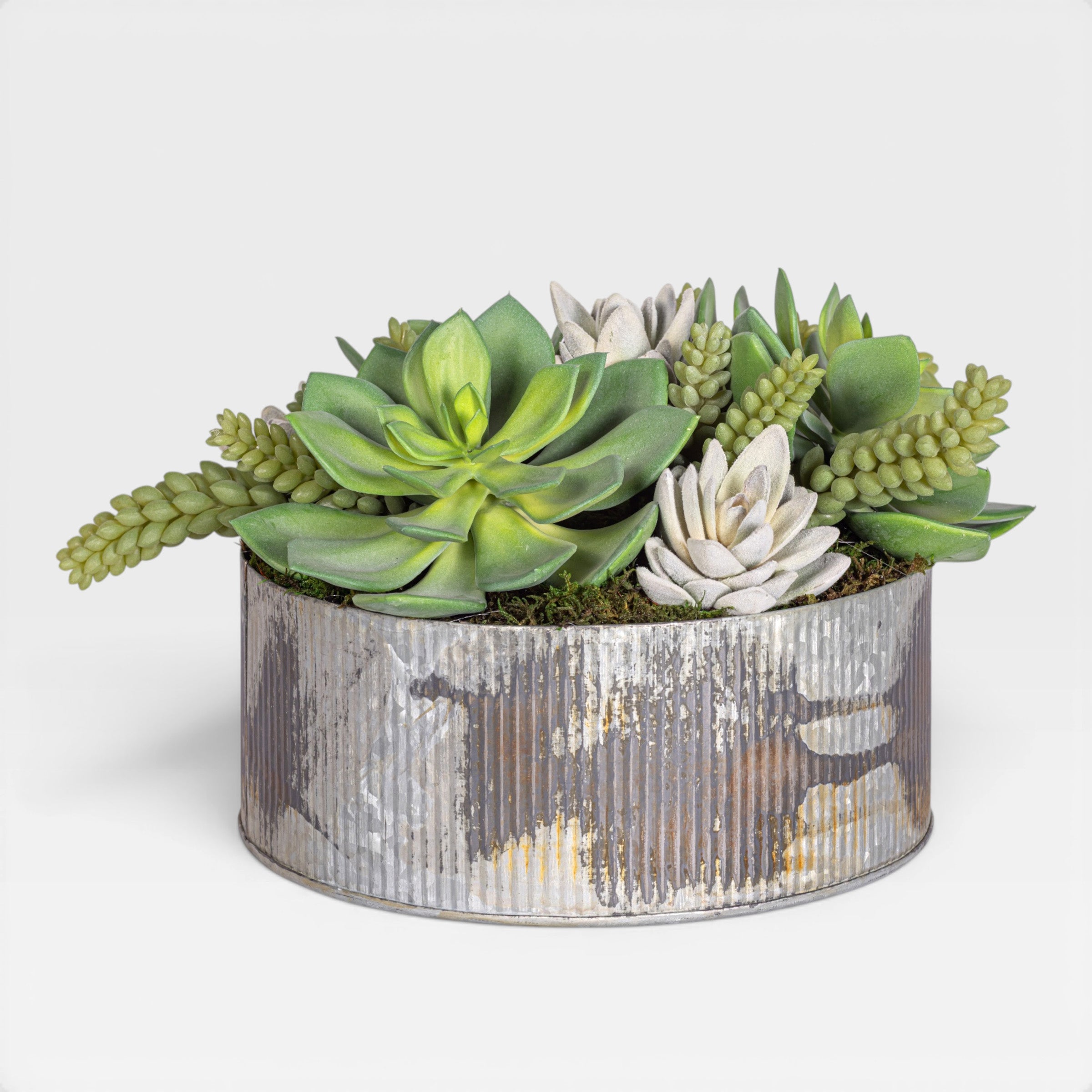 17" Rusty Galvanized Bowl with Mixed Succulent Arrangement AR1923