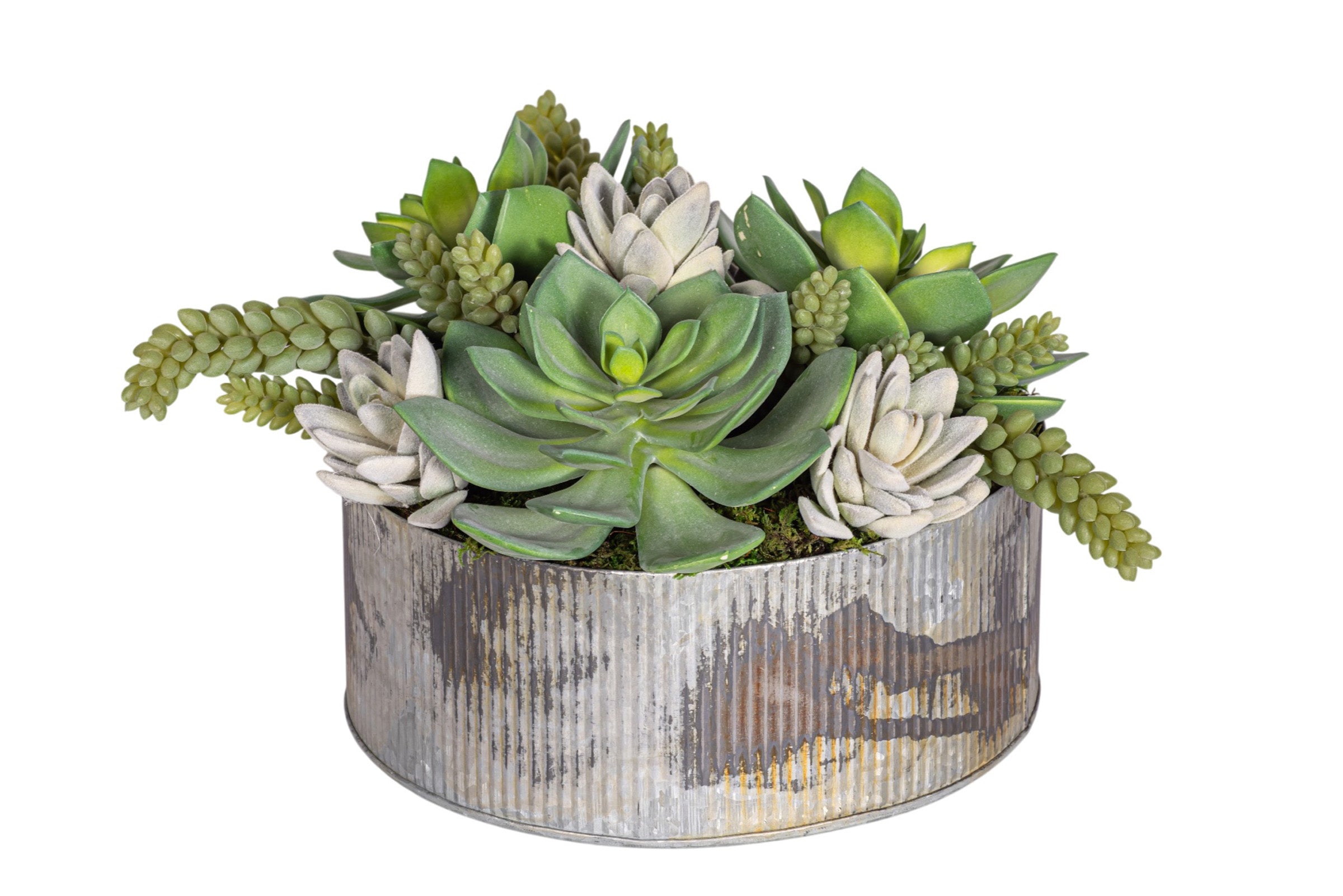 17" Rusty Galvanized Bowl with Mixed Succulent Arrangement AR1923