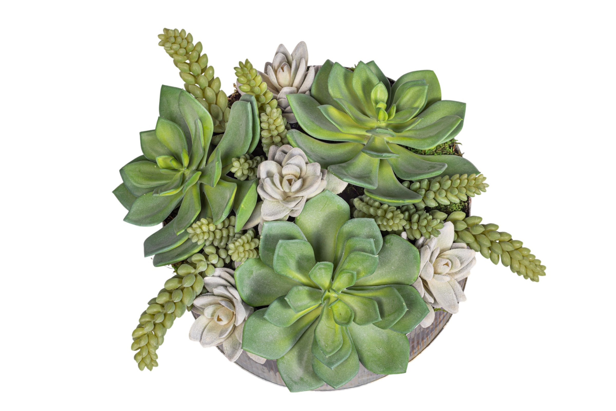 17" Rusty Galvanized Bowl with Mixed Succulent Arrangement AR1923