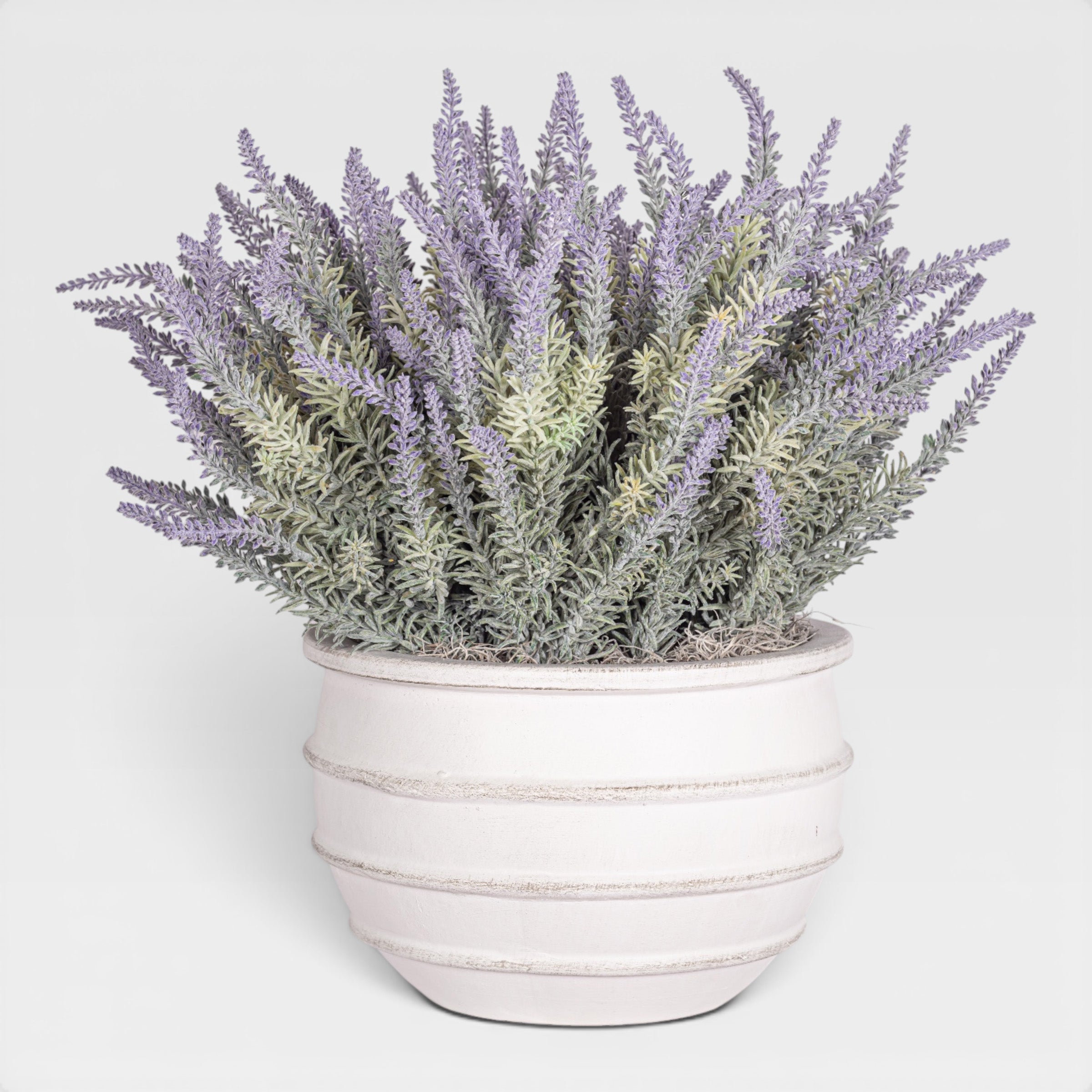 22" Enzo Bowl with Lavender Arrangement AR1945