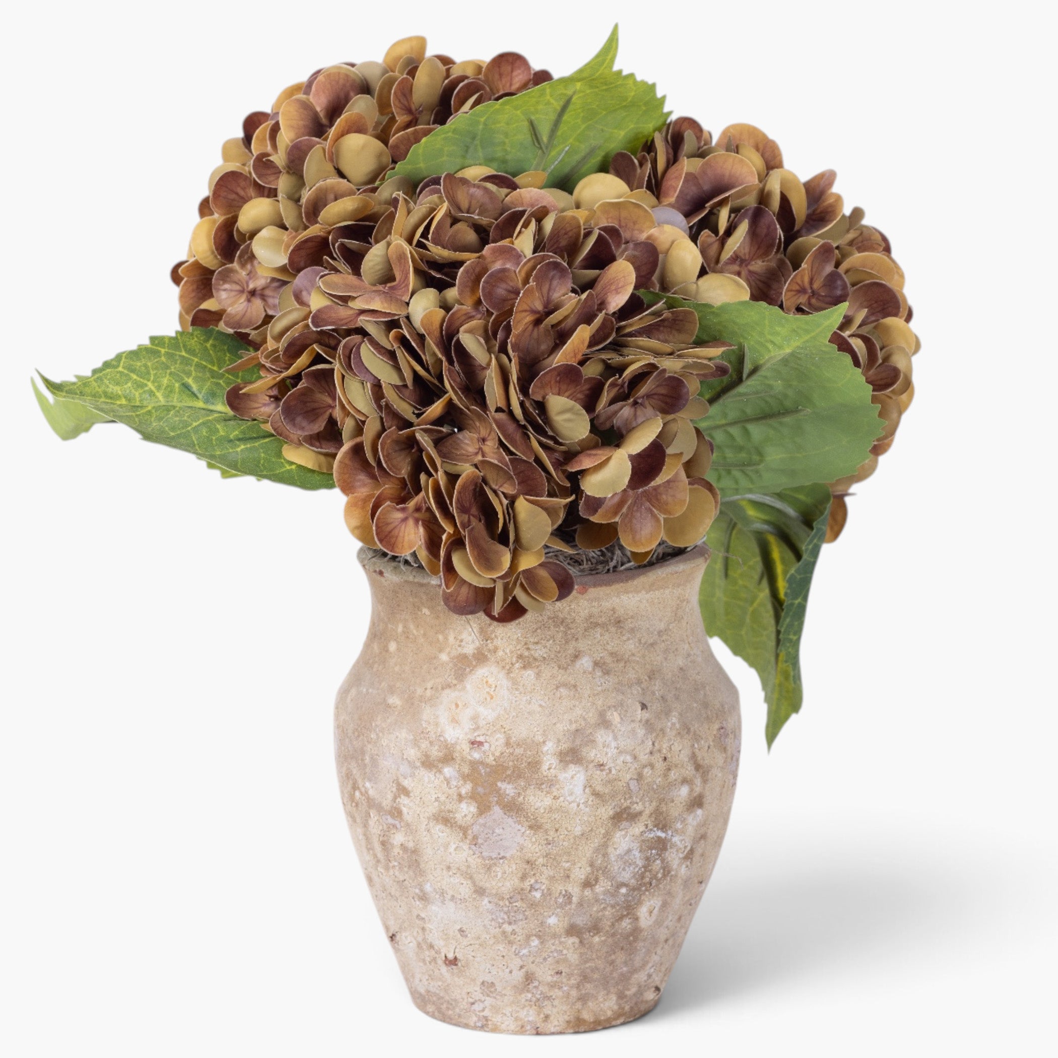 10" Titan Pot with Hydrangea Arrangement AR1946