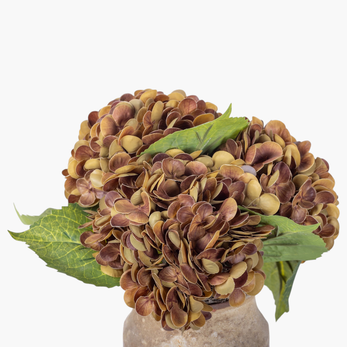 10" Titan Pot with Hydrangea Arrangement AR1946