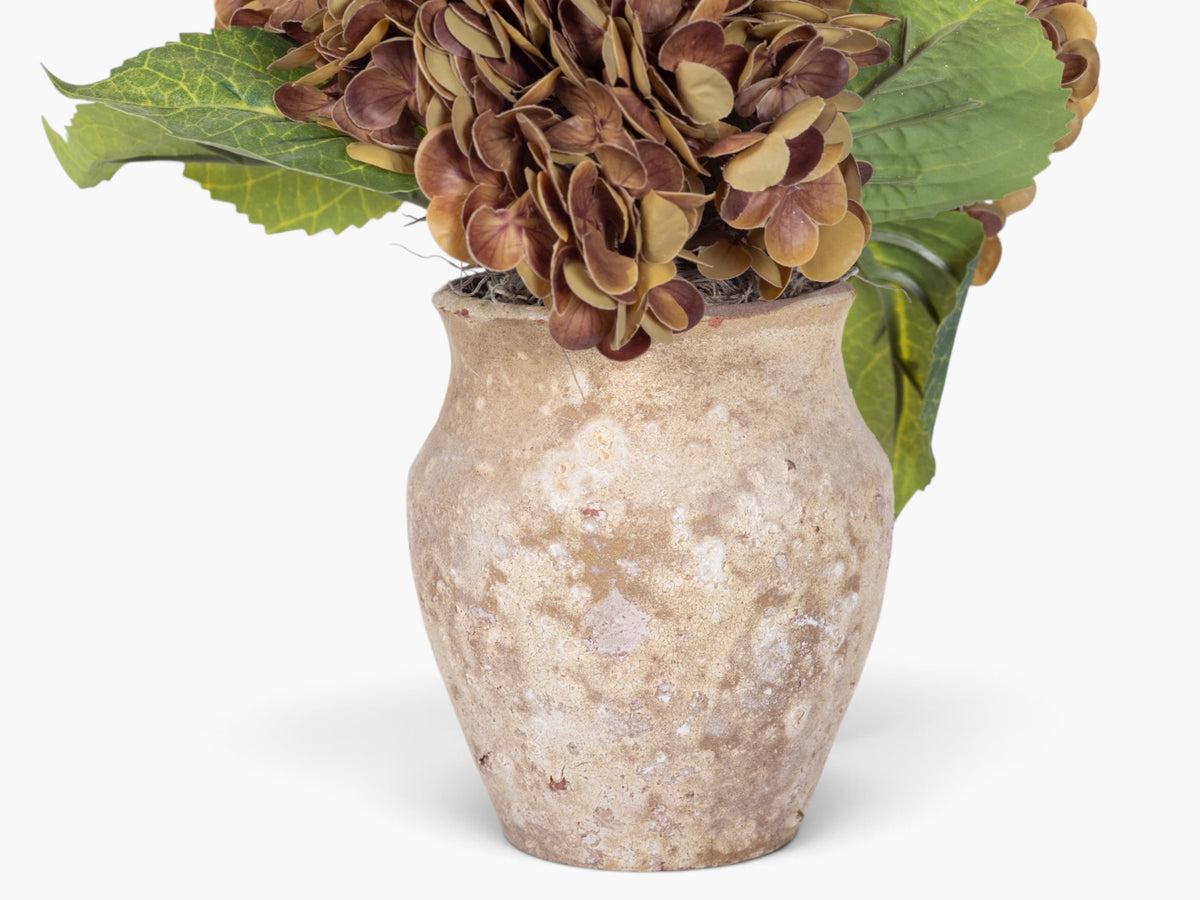 10" Titan Pot with Hydrangea Arrangement AR1946