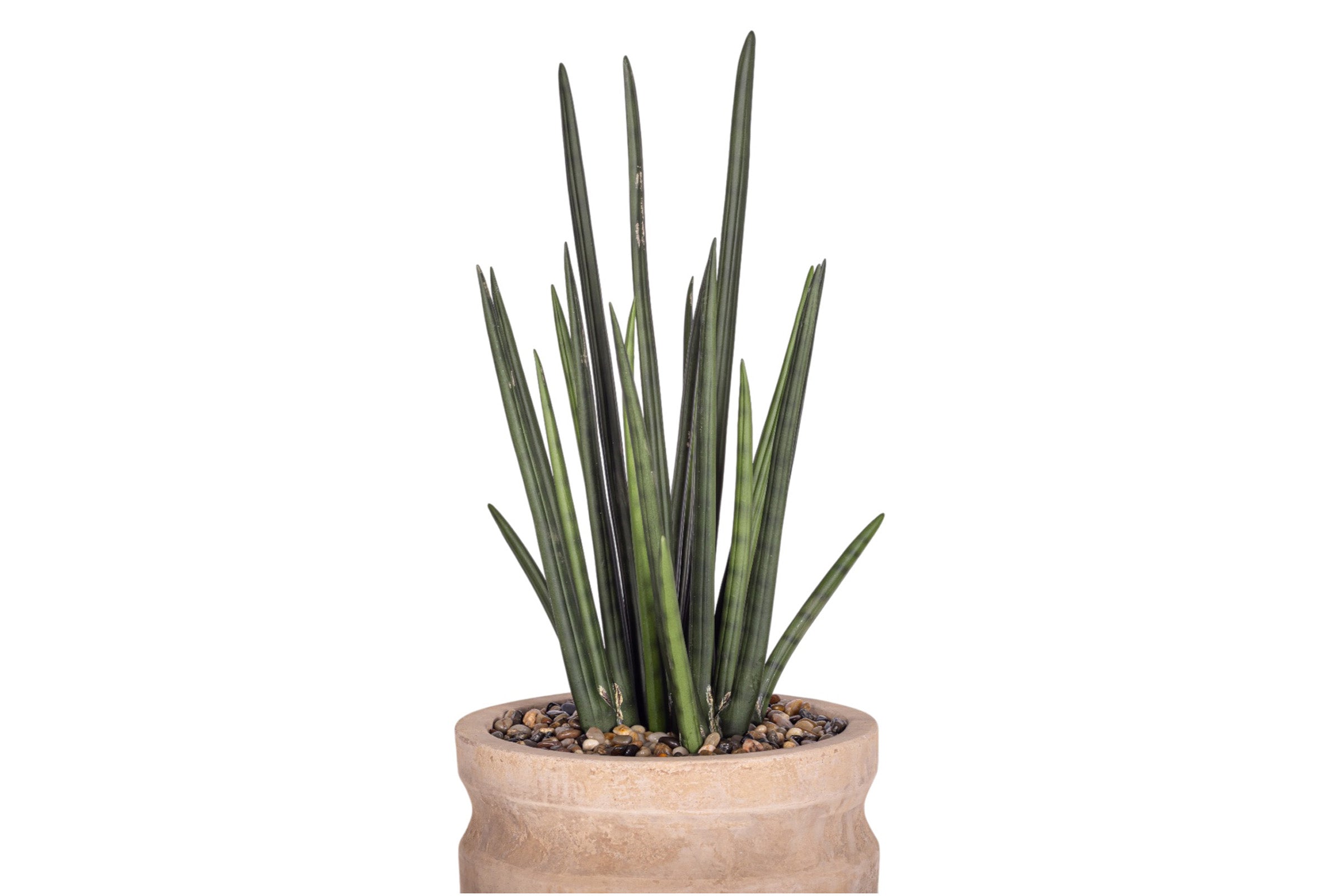 8" Romeo Pot with Snake Stem Arrangement AR1947