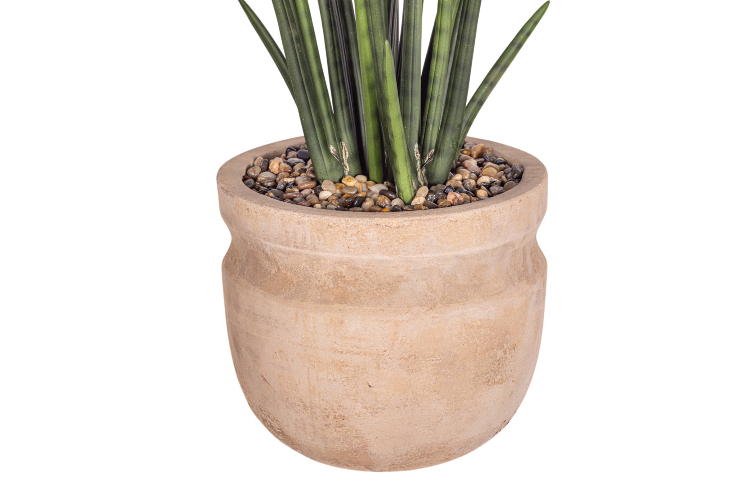 8" Romeo Pot with Snake Stem Arrangement AR1947