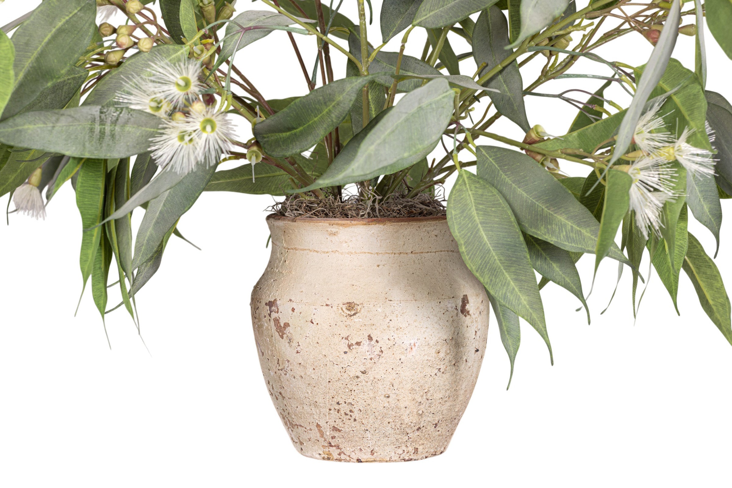 45" Titan Pot with Eucalyptus Arrangement AR1948