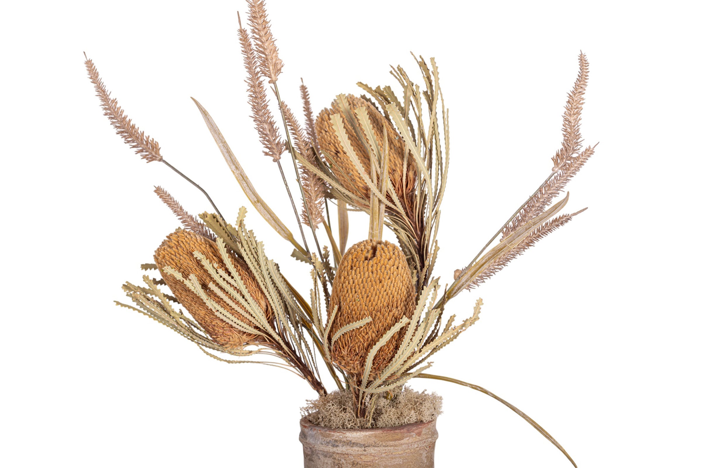 19" Rue Pot with Dried Protea Arrangement AR1950
