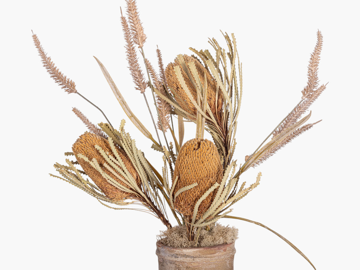 19" Rue Pot with Dried Protea Arrangement AR1950