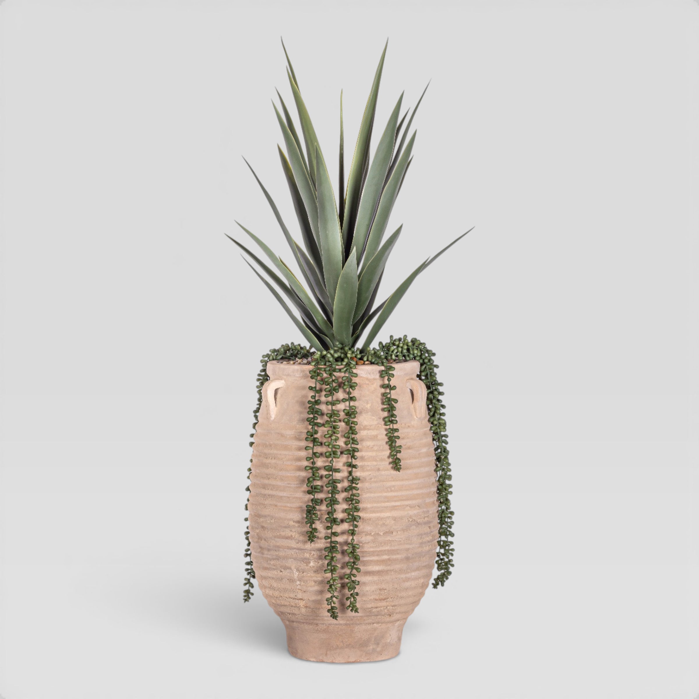 Mossimo Planter with Yucca Arrangement AR1951