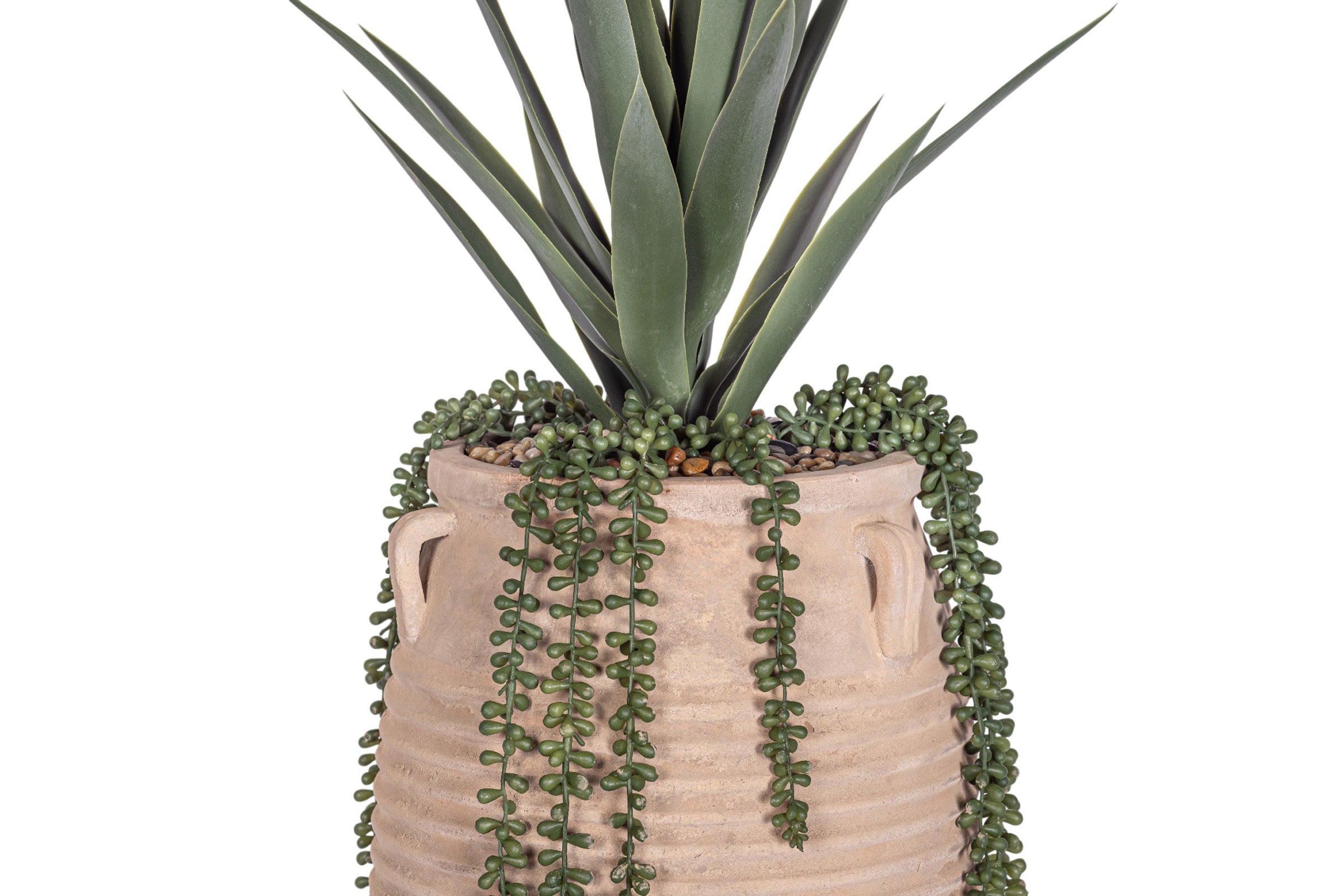 Mossimo Planter with Yucca Arrangement AR1951