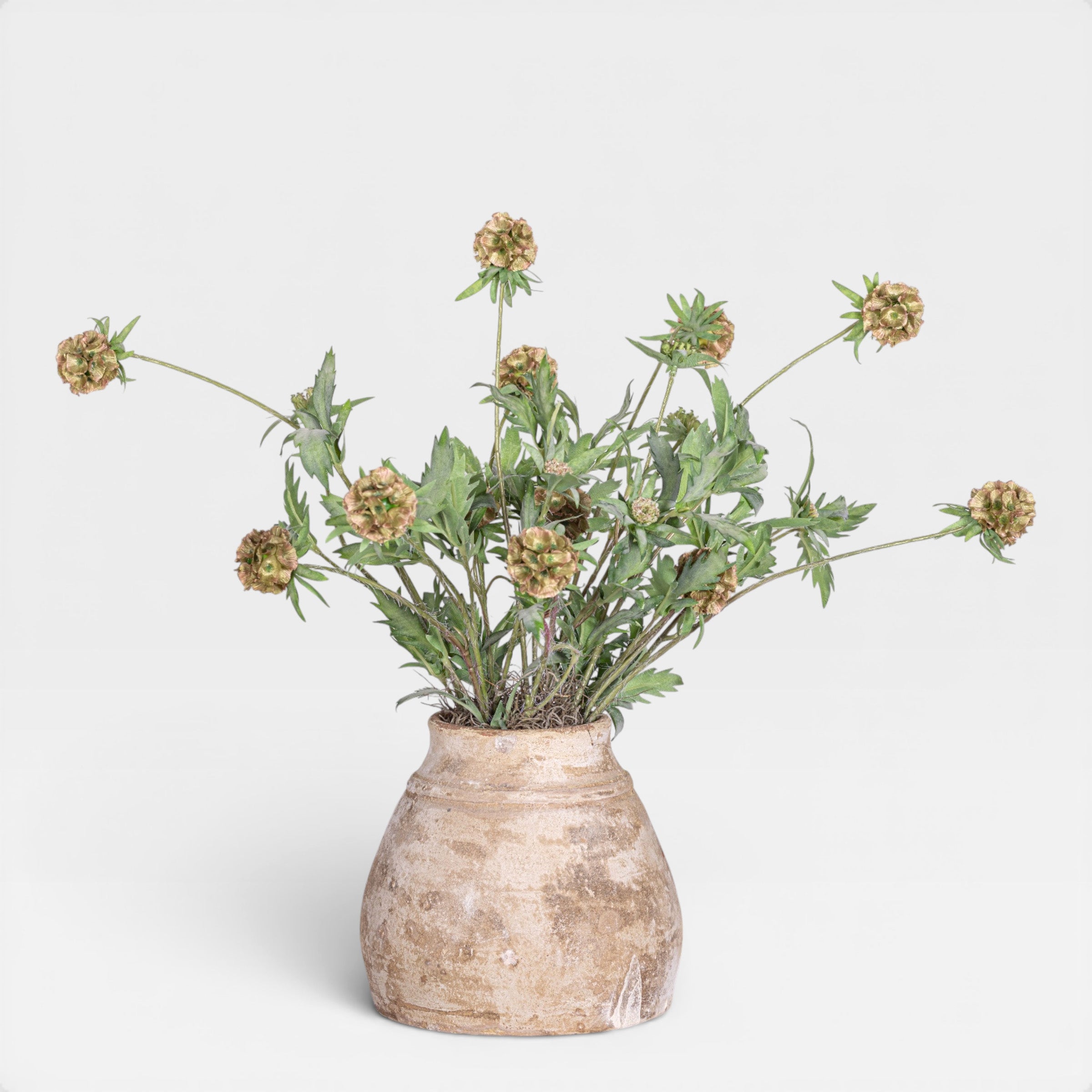 22" Aster Pot with Scabiosa Pod Arrangement AR1956