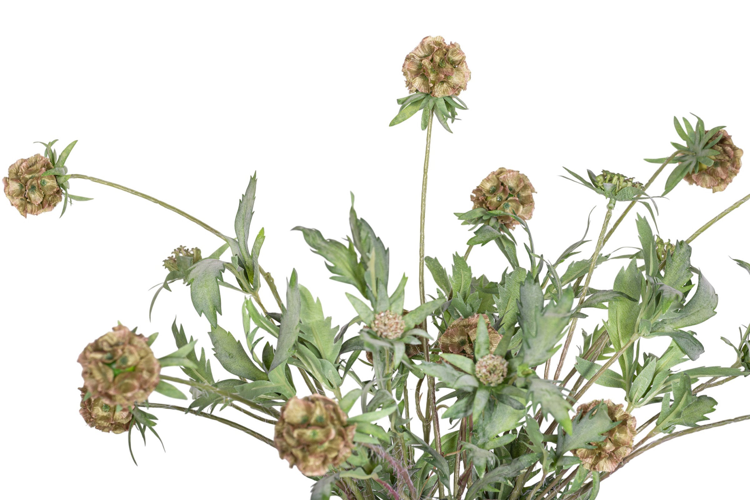 22" Aster Pot with Scabiosa Pod Arrangement AR1956