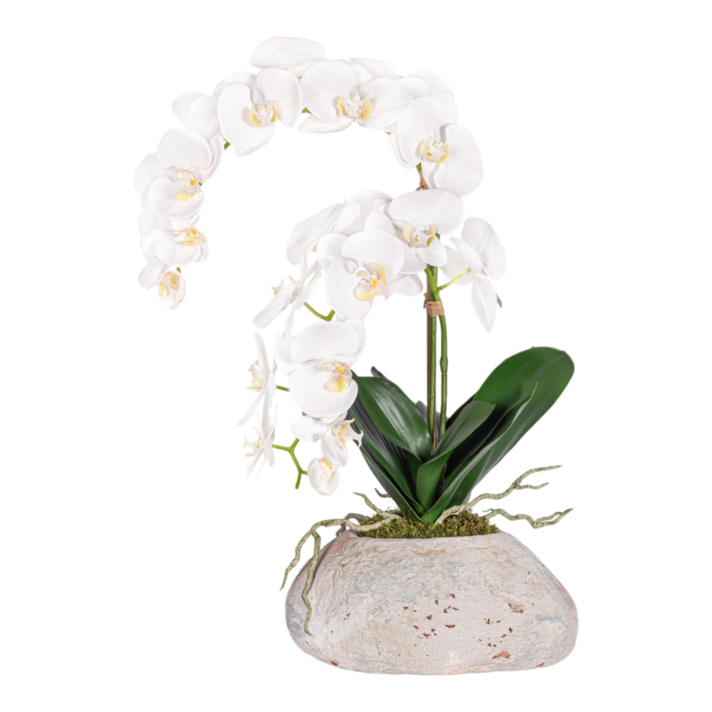 20" Skye Pot with Orchid Arrangement AR1958