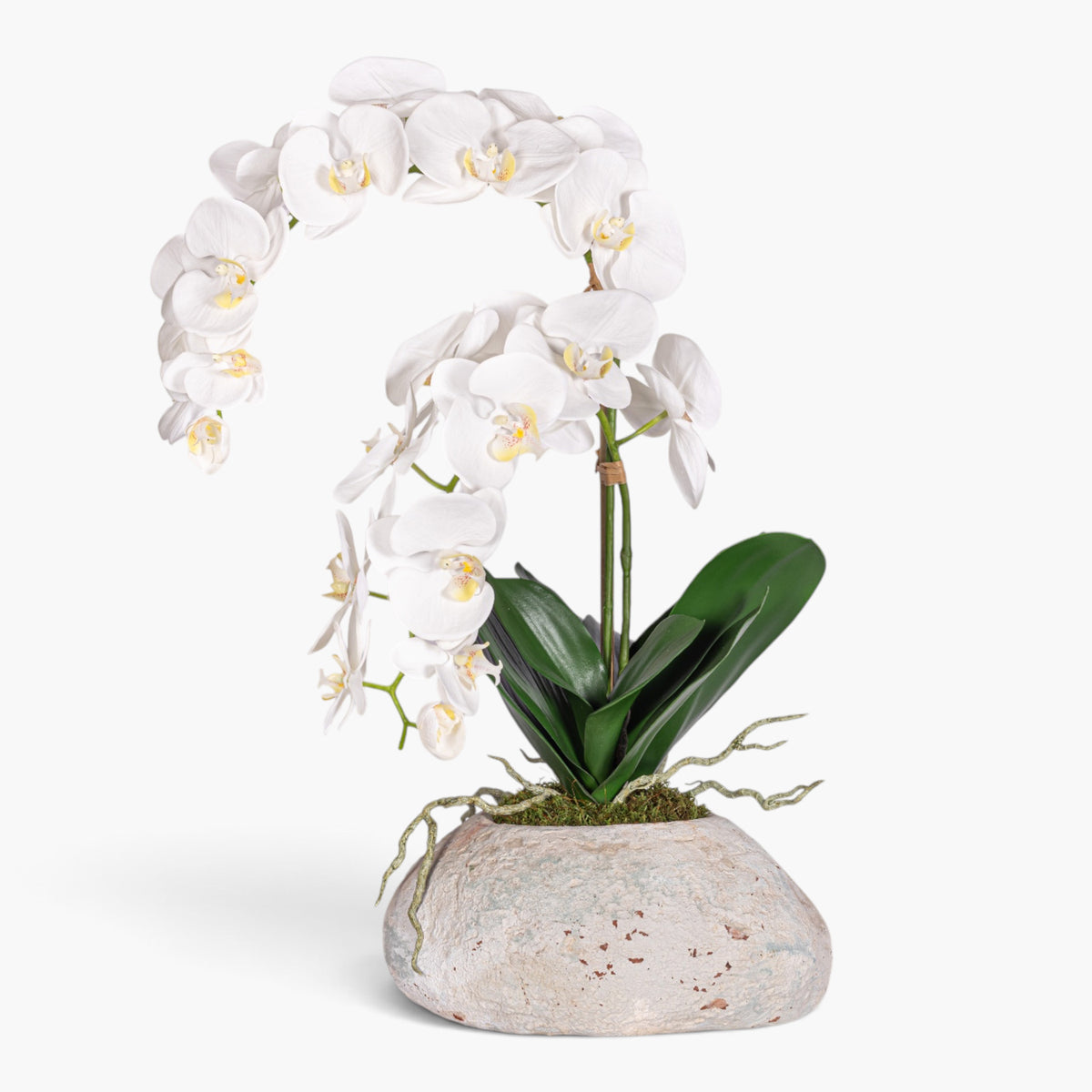 20" Skye Pot with Orchid Arrangement AR1958