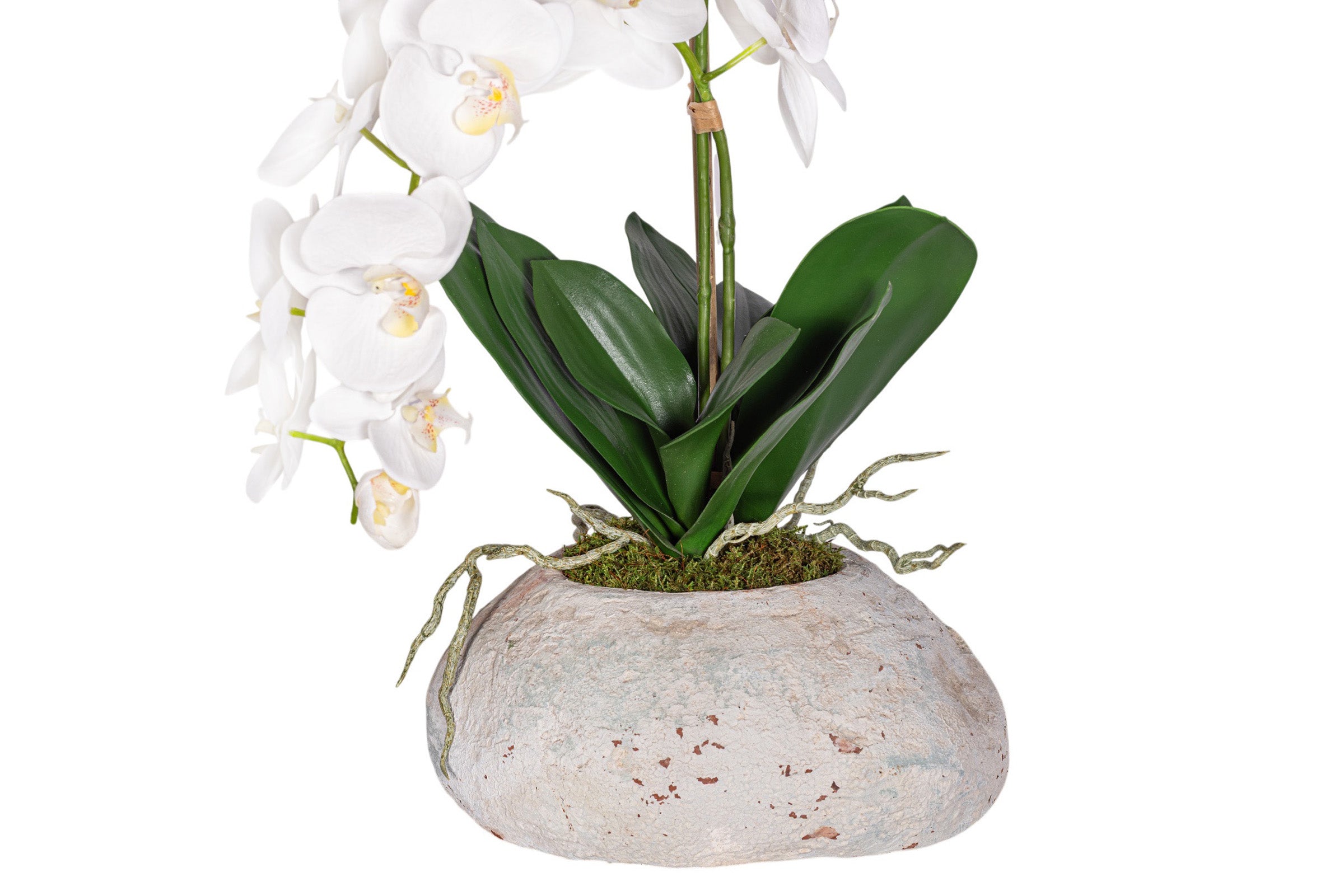 20" Skye Pot with Orchid Arrangement AR1958