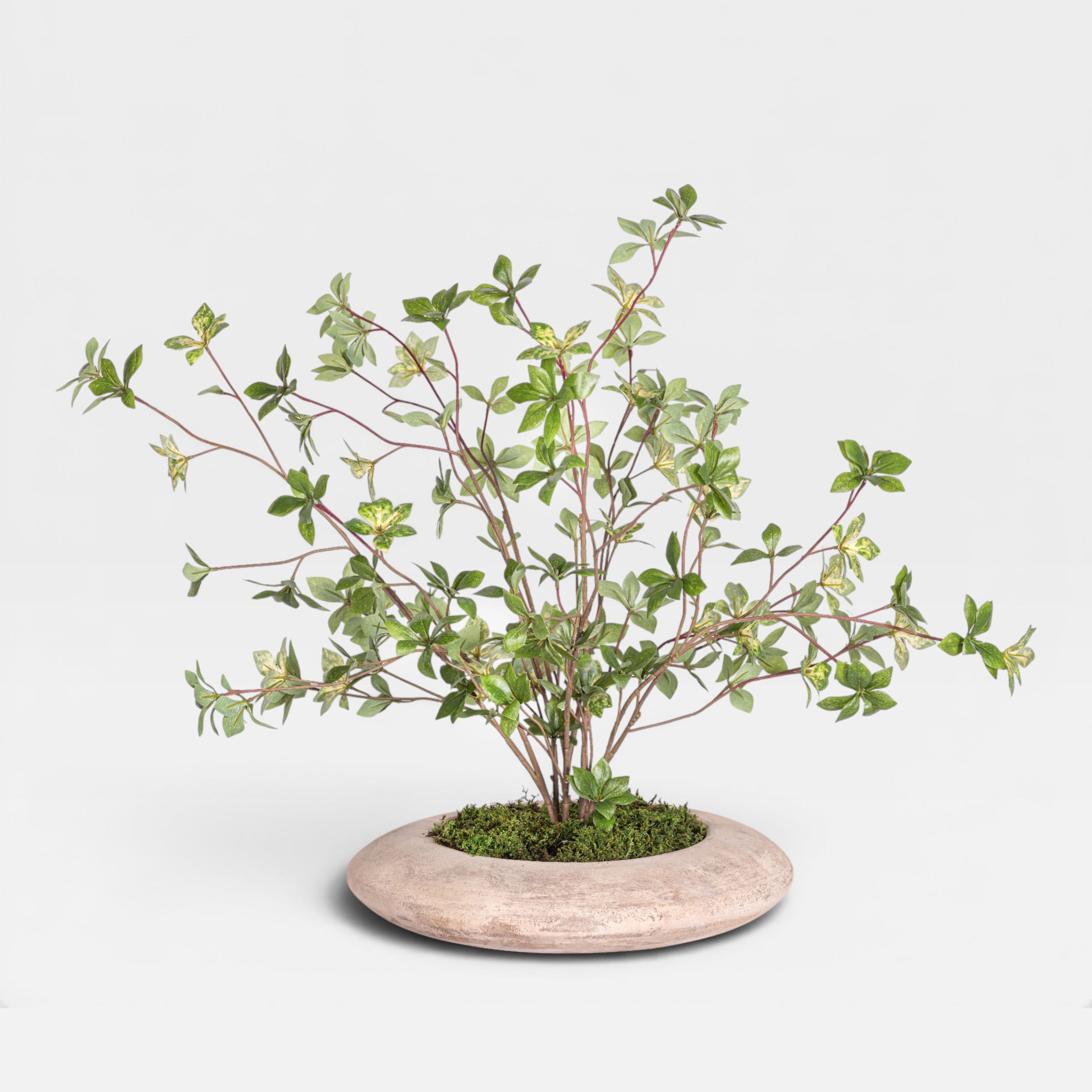 29" Flying Saucer with Greenery Arrangement AR1962
