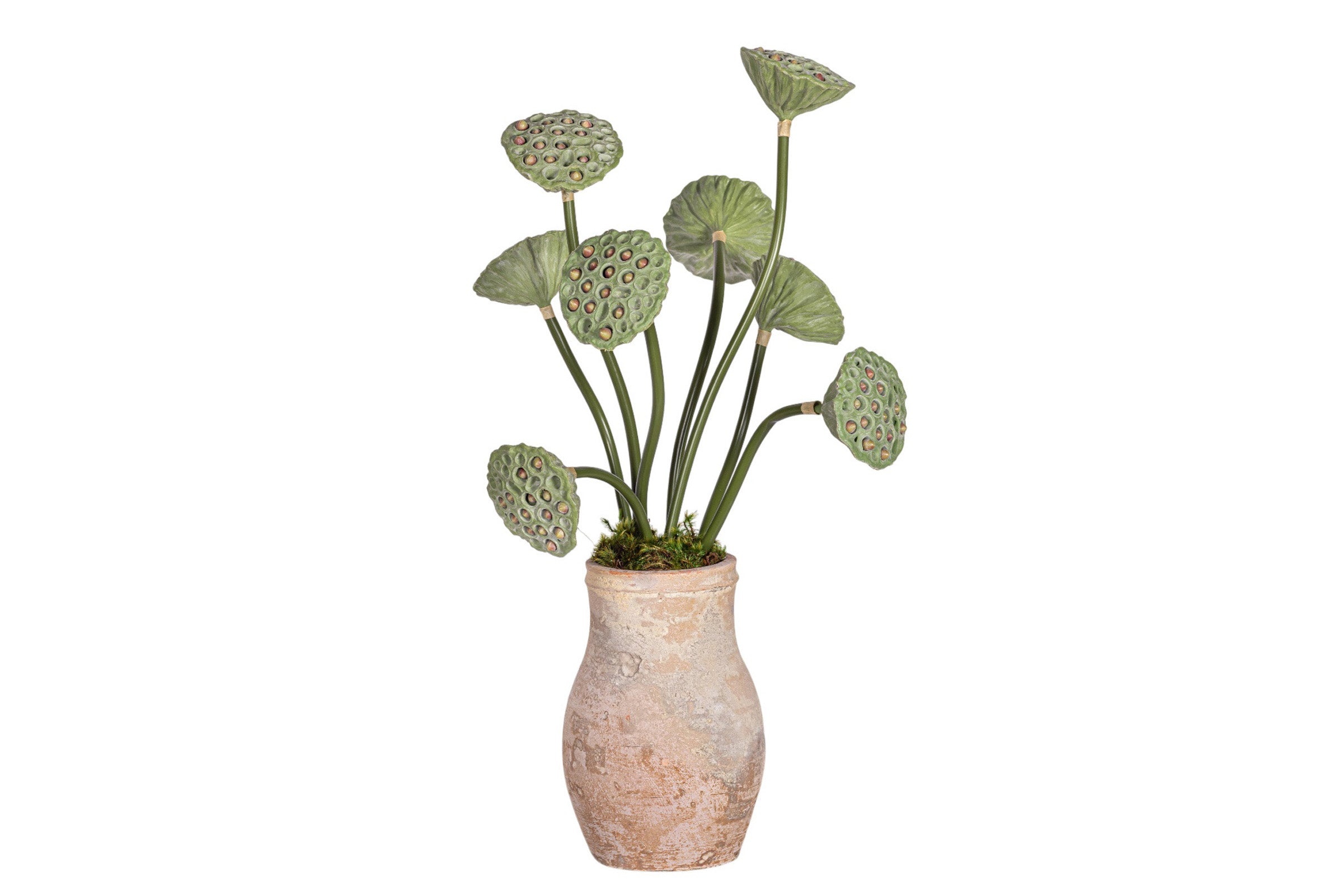 Rue Vase with Lotus Seed Arrangement AR1963
